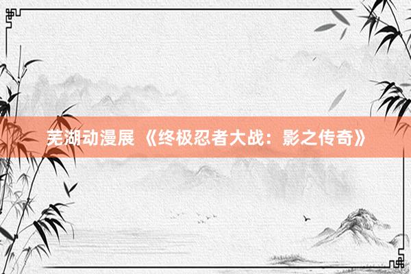 芜湖动漫展 《终极忍者大战：影之传奇》